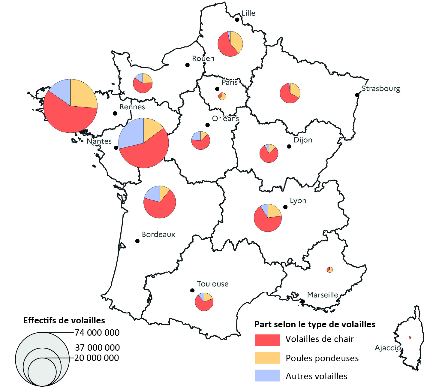 Figure 2- Effectifs de volailles des différentes régions - voir la transcription ci-dessous