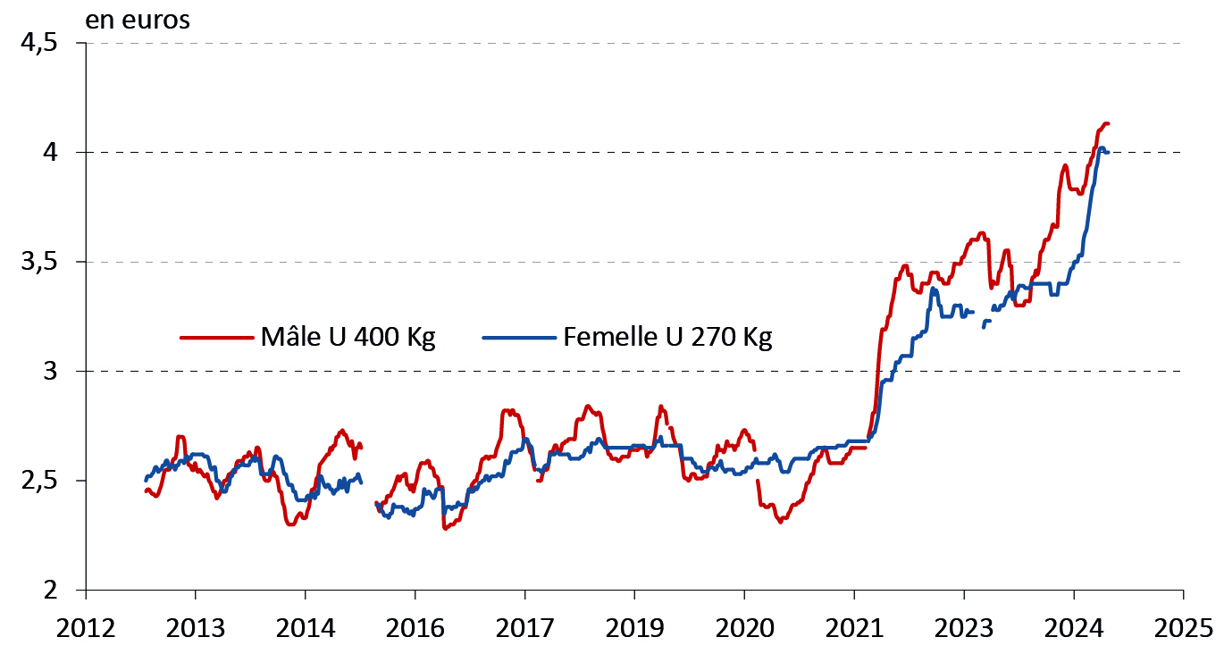 Figure 12 - Cours des bovins maigres depuis 2013 - voir la transcription ci-dessous