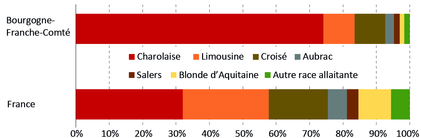 Figure 3 - Répartition des races de bovins viande - voir la transcription ci-dessous