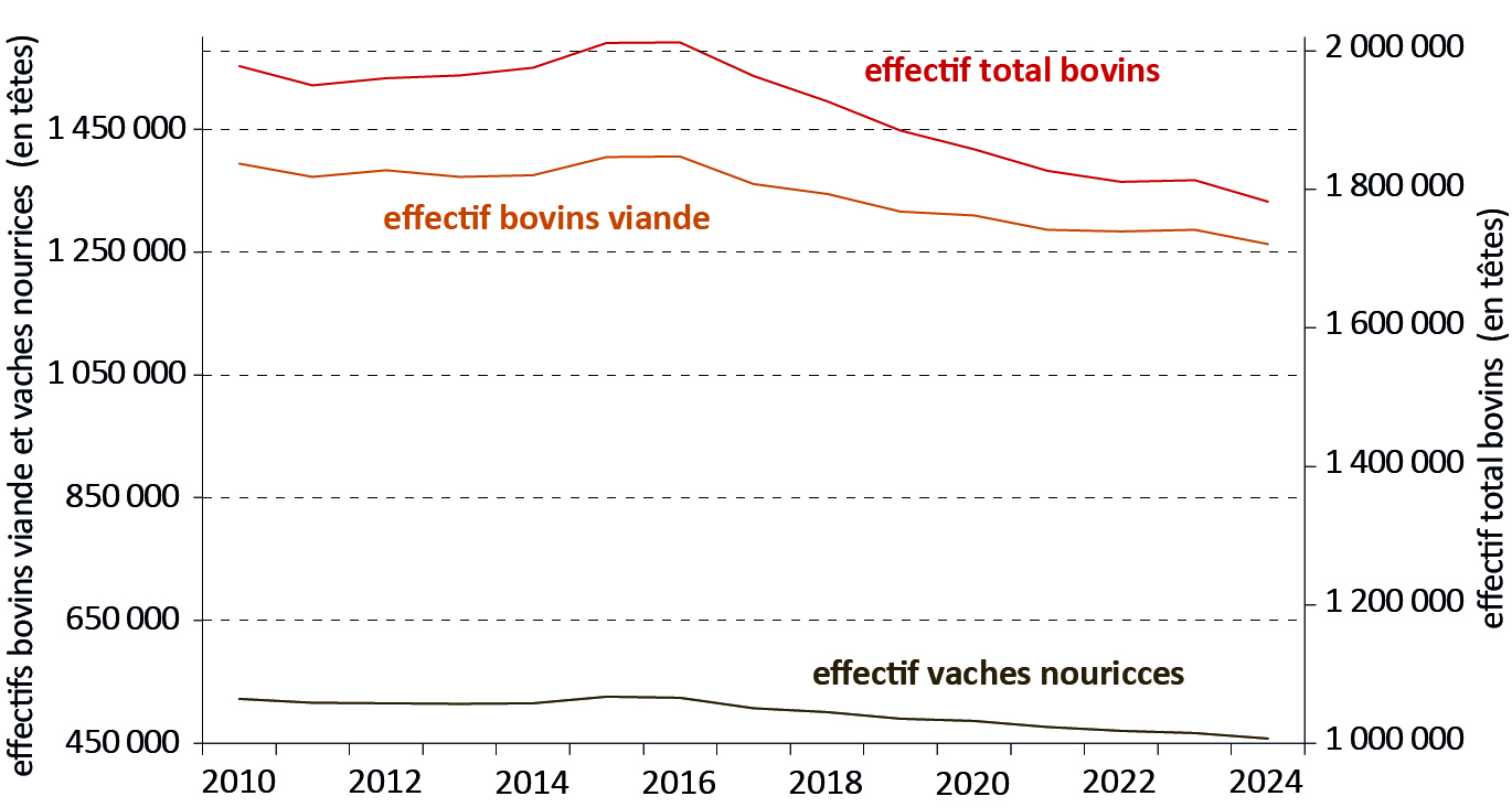 Figure 5 - Effectifs de vaches nourrices, bovins viande et bovins totaux depuis 2010 - voir la transcription ci-dessous