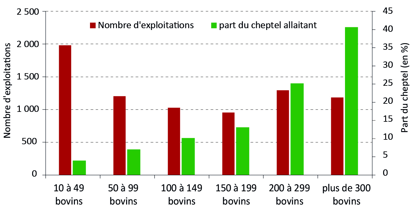Figure 7 - Répartition des exploitations en fonction de la taille du troupeau allaitant - voir la transcription ci-dessous