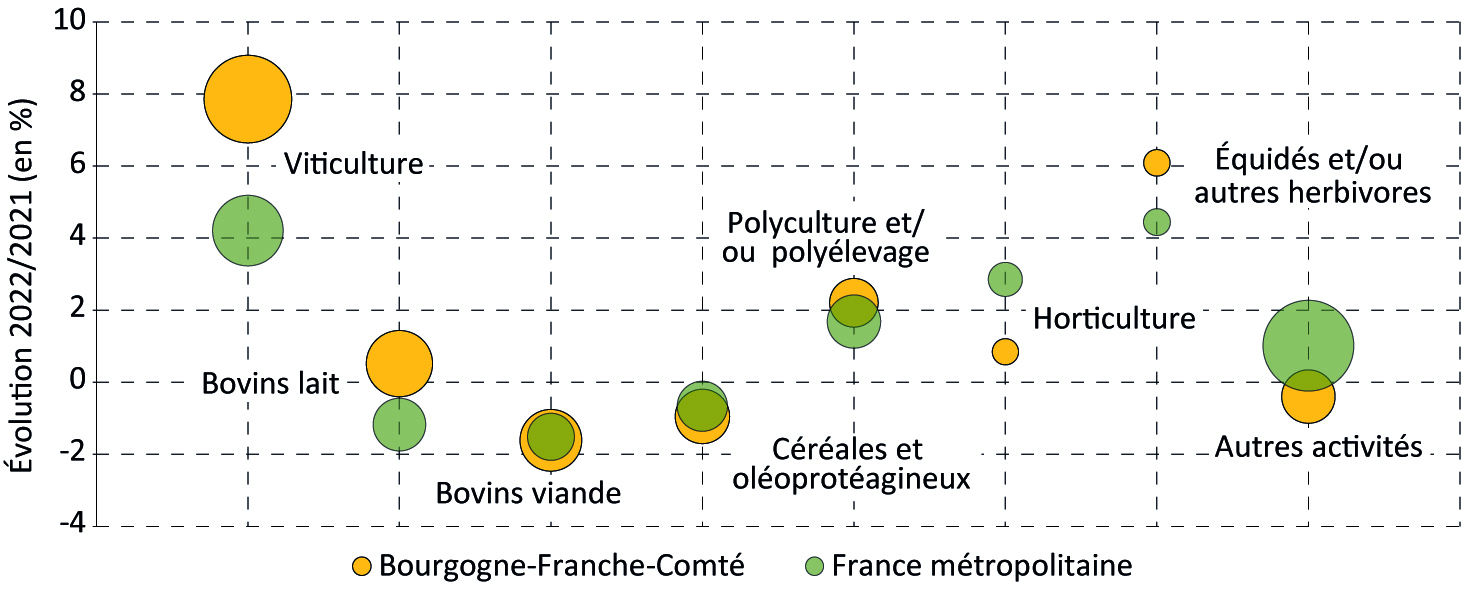 L'emploi dans la viticulture - voir la transcription ci-dessous