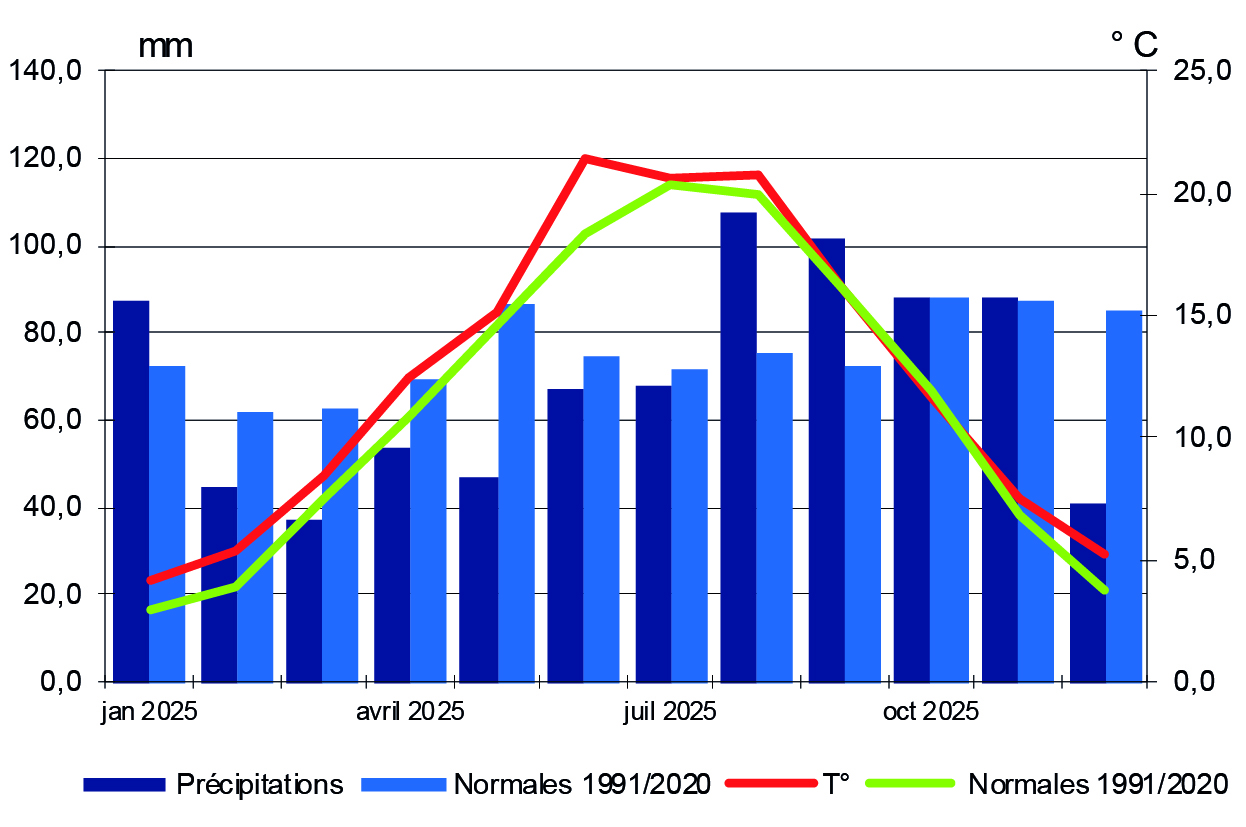 Figure 10 - Température et précipitations - voir la transcription ci-dessous