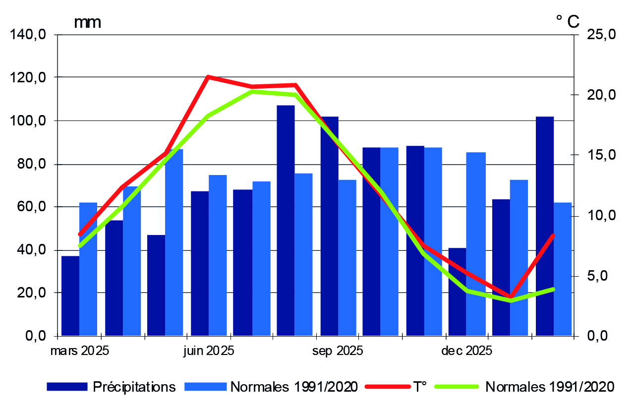 Figure 10 - Température et précipitations - voir la transcription ci-dessous
