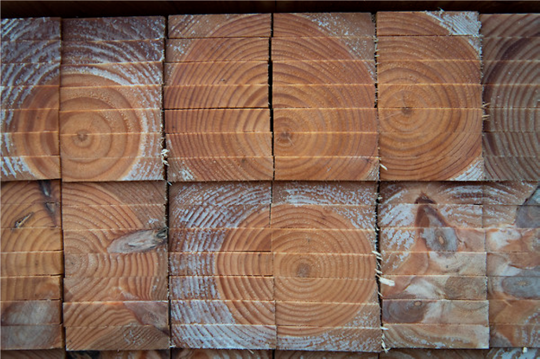 Commission régionale de la forêt et du bois 13 septembre 2023 DRAAF