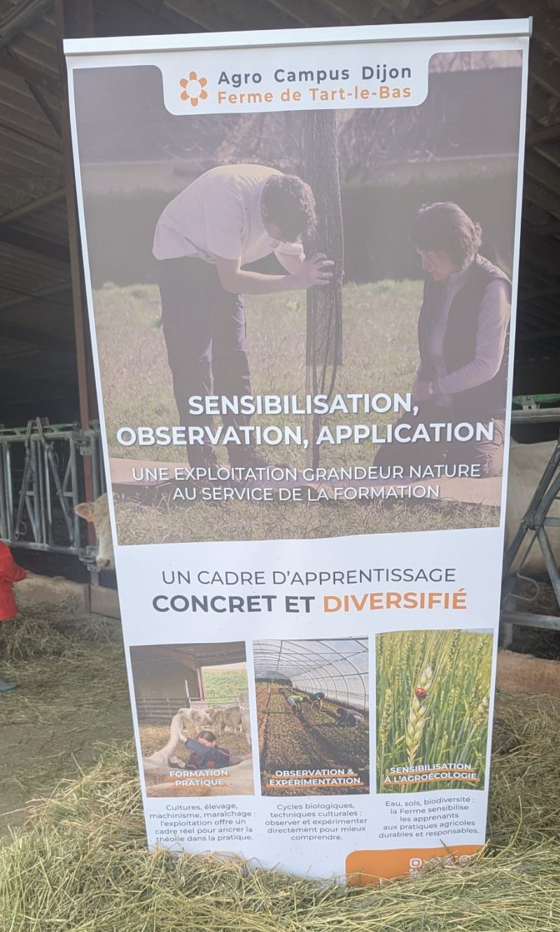 Kak&eacute;mono pr&eacute;sent&eacute; pour l'atelier bovin viande | Photo : B. Ramillon