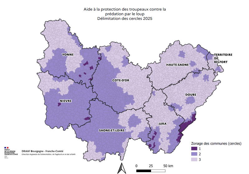 Carte des cercles de prédation par le loup en Bourgogne-Franche-Comté pour l'année 2025 